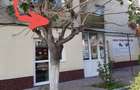 Apartament de vanzare 3 camere - 2