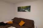 Apartament 2 camere, etaj 8, Theodor Pallady - 10
