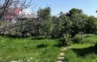Casă cu 4 camere în Oreavul - 2