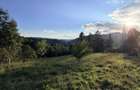 Vanzare teren intravilan Bran - 5