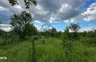 Teren de vanzare | 3.600mp | Valeni de Munte, Prahova | Comision 0% - 4