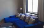 De inchiriat ap. 2 camere Cluj-Napoca ultracentral - 3