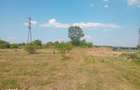 Teren de 15000 mp, în Filipeștii de Pădure - 5