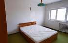 Apartament 3 camere în zona Nicolae Titulescu - 4