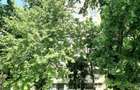 Apartament 2 camere, 49,9 mp, Drumul Taberei Valea Rosie - 3