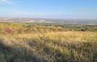 Teren intravilan 13.500 mp | Valea Calugareasca Zona Varfuri | Utilita?i disponibile