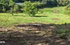 0 % Comision!Teren intravilan , 5330 mp, front de 29 m, in Feleac - 11