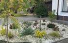 Oxford Gardens 4 bedrooms swimming pool
