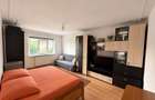 Apartament decomandat cu 1 cameră în Nicolina 1 - 3