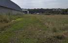 Vand teren intravilan industrial construibil sat Bacu judetul Giurgiu - 6