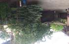 vanzare . Spatiu comercial ?i teren - 3