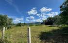 Teren intravilan de vanzare 2.281 mp | Sibisel-Rau de Mori | View - 1