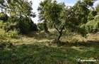 Casa demolabila in sat Gheorghieni (com Feleacu) teren 1547mp intravilan