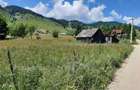 Vand teren intravilan Sirnea, jud Brasov - 3