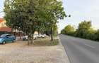 Teren 600 mp de vanzare in Paleu | Str. Principala - 2
