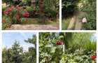 Proprietar: Vila individuala 5 camere Pantelimon - Amprenta 104mp Teren 331 - 4
