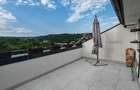 Apartament 6 camere si terasa cu vedere spre Gradina Botanica - 8