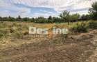 Teren intravilan 2170 mp la drum asfaltat - Chicerea - 4