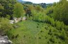 Teren 38,704mp Sirnea | 2.000 mp Intravilan | 36,704 Extravilan - 9