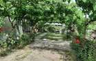 Vand casa in Chisirid. Tel: