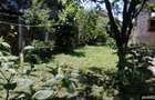Imobiliare casa in rosu alba iulia 1000 mp s+p+1+m 3 camere locuibile 300 m de poarta cetati - 2