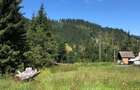 Teren intravilan Gura Haitii, comuna ?aru Dornei, jud. Suceava - la 27 km de Vatra Dornei - 5