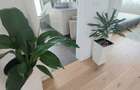 Casa noua-Oradea - Ready to move - 8