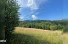 Teren cu poten?ial turistic, cadru natural rar, 20.000 mp Sacuieu - 9