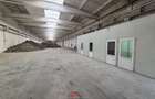 Hale noi in Baicoi, Ph--13.000mp--3e - 6