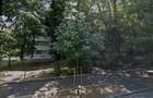Apartament 3 camere Dealul Tugulea 50 - 9