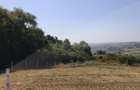 Teren cu o panorama superba,la marginea padurii ( rezervatie naturala) - 2