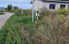 Teren intravilan Avrig, judet Sibiu 63 000 EUR negociabil - 16