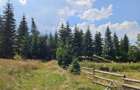 Teren Dealu Negru de vanzare, la 3 km de Belis - 6