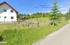 Neagra Sarului - Saru Dornei, Teren S = 6450 mp; 13 km de Vatra Dornei - 11