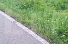 Teren la sosea, 5200 mp, localitatea Jena - 7