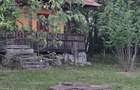Casa cu 7.769 mp teren ?i padure | Budieni | 53.000 - 7