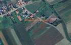 teren intravilan cu Autorizatie de constructie 1.400m2 in Livada-Iclod - 3