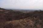 Teren ingradit cu panorama de vinzare Podgoria - 4