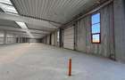 Vanzare depozit/spatiu industrial/hala Chitila - Rudeni, ILFOV - 3
