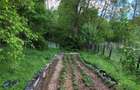 Casă cu 3 camere în Cosminele - 1