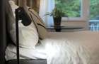 Apartament 2 camere UMF | complet mobilat | chiria?i activi - 6