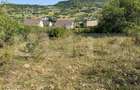 Teren extravilan, 15 arii, pretabil pentru investitii, construibil - 2