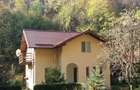 Casa in mijlocul naturii - 9