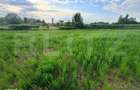 Teren intravilan de vanzare Stupini 88.000 eur 1200 mp. - 2