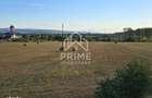 Teren intravilan 10200 mp, utilitati la limita parcelei - Alba Iulia - 1