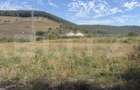 Teren intravila de vanzare, 5.595 mp, zona Ortelec