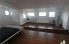 Apartament mansardabil de vanzare - 8