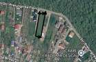 Loturi de vanzare Balotesti- strada prelungirea Fieni. Langa padure - 3