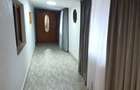 Casa individuala, teren 5200mp, oportunitate de investitie, - Radauti (Suceava)