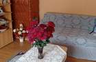 Casa de vanzare Radna - 2